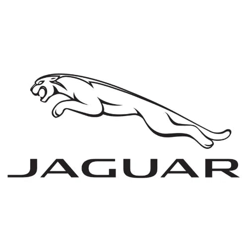 Jaguar - Elmeira Fashion