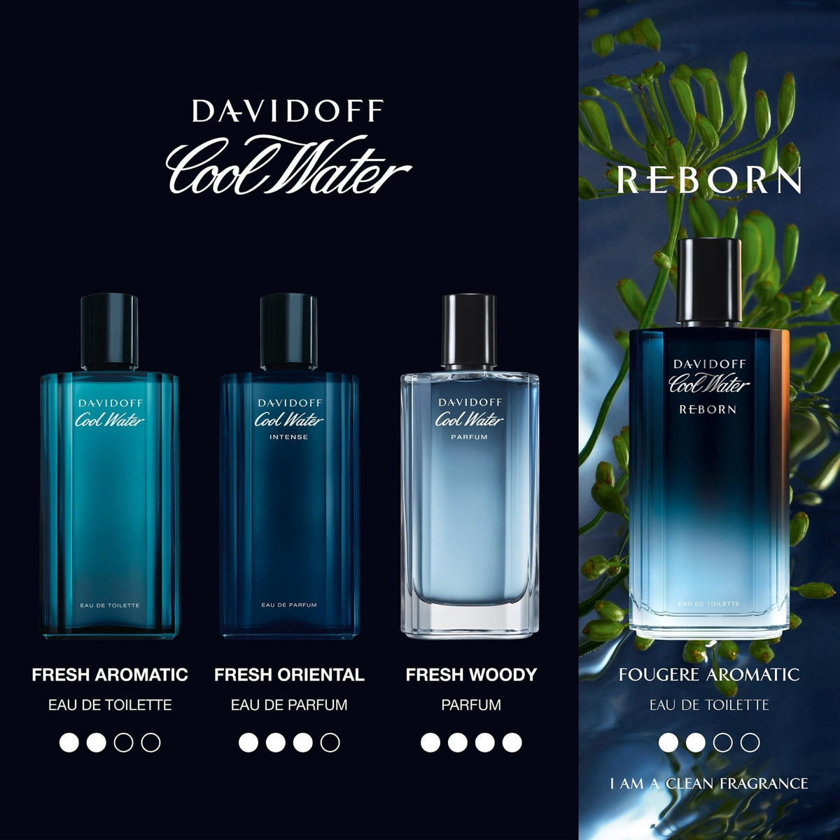 Davidoff Cool Water Intense Eau de Parfum for men 125ml - Elmeira Fashion
