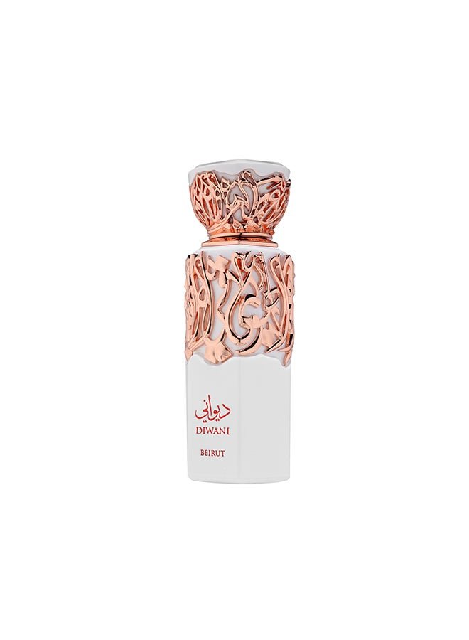 French Avenue Diwani Bierut - Eau de Parfum - Perfume For Men, 100ml - Elmeira Fashion