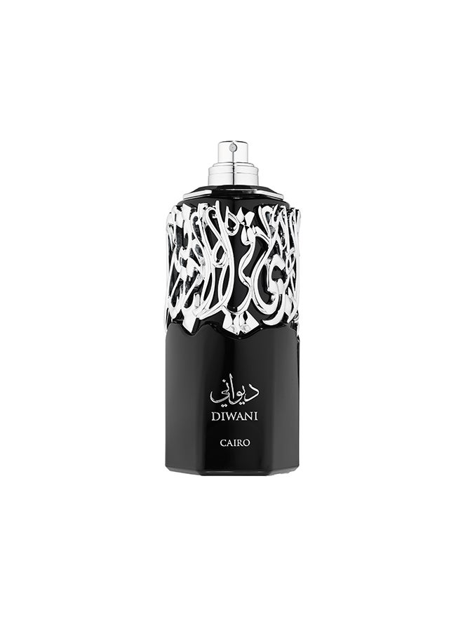 French Avenue Diwani Cairo - Eau de Parfum - Perfume For Men, 100ml - Elmeira Fashion