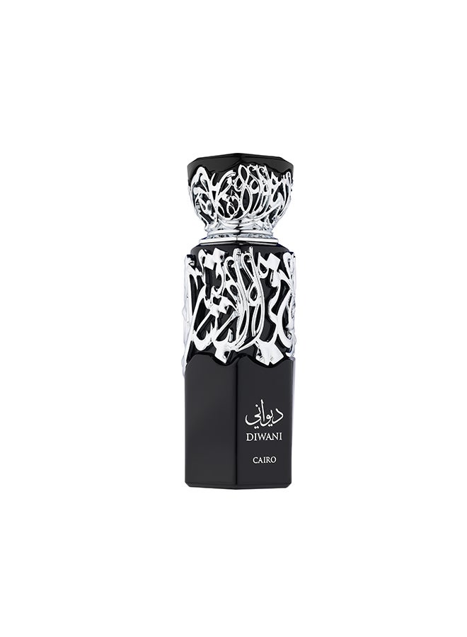 French Avenue Diwani Cairo - Eau de Parfum - Perfume For Men, 100ml - Elmeira Fashion