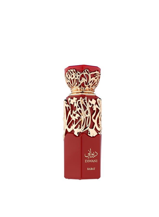 French Avenue Diwani Rabat - Eau de Parfum - Perfume For Men, 100ml - Elmeira Fashion