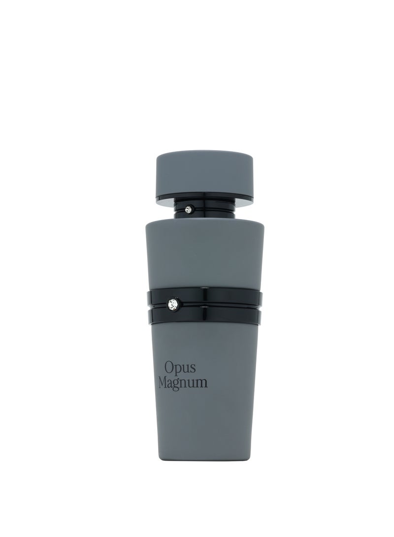 French Avenue Opus Magnum - Extrait de Parfum - Perfume For Men, 100ml - Elmeira Fashion