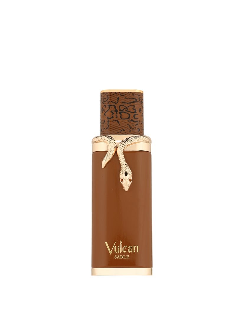 French Avenue Vulcan Sable - Eau de Parfum - Perfume For Men, 100ml - Elmeira Fashion