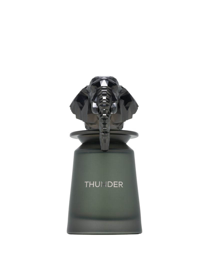 French Avenue Thunder - Eau de Parfum - Perfume For Men, 100ml