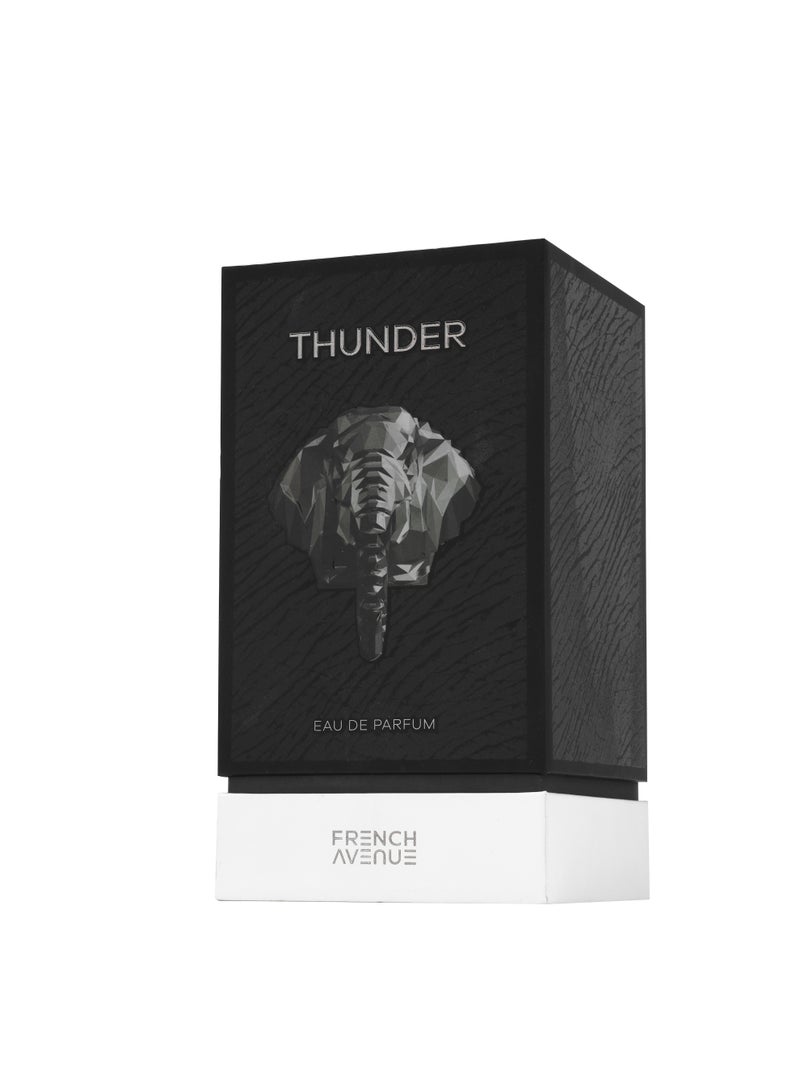 French Avenue Thunder - Eau de Parfum - Perfume For Men, 100ml