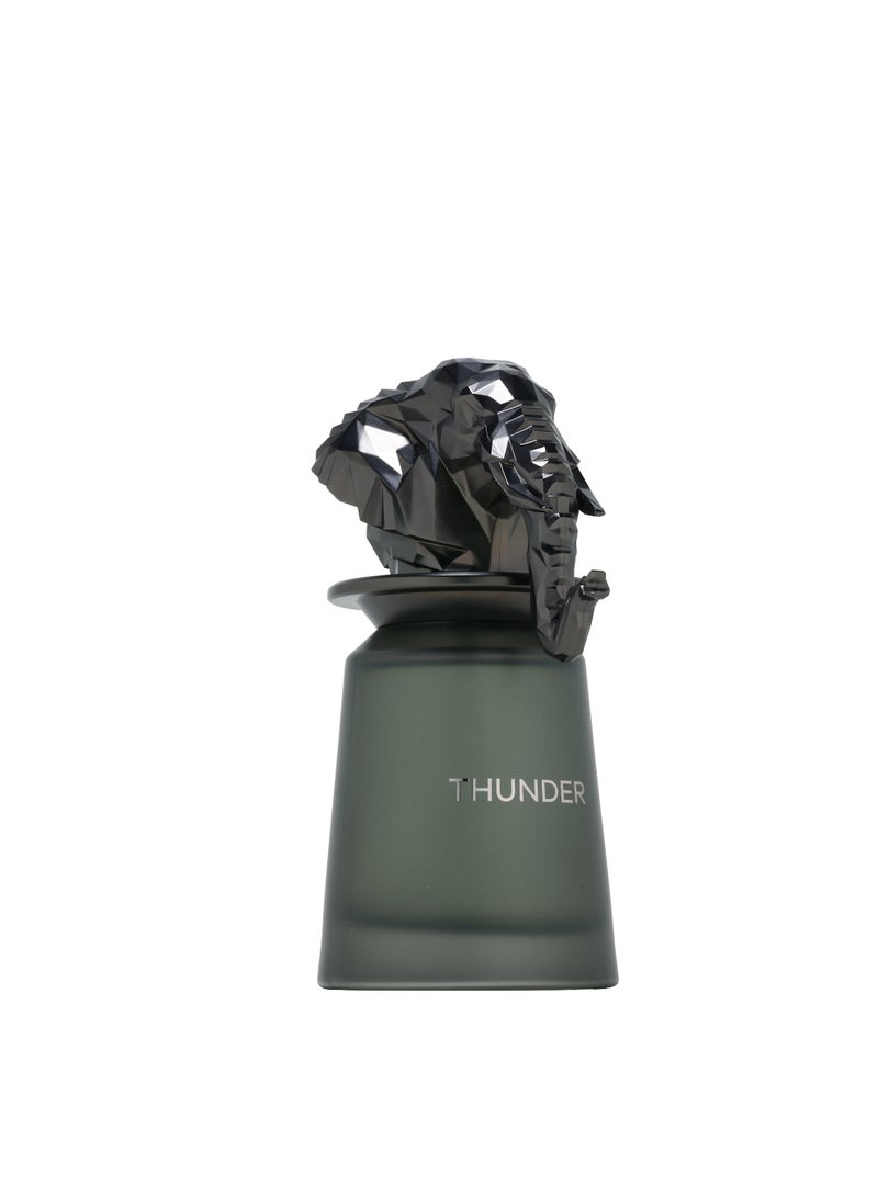 French Avenue Thunder - Eau de Parfum - Perfume For Men, 100ml