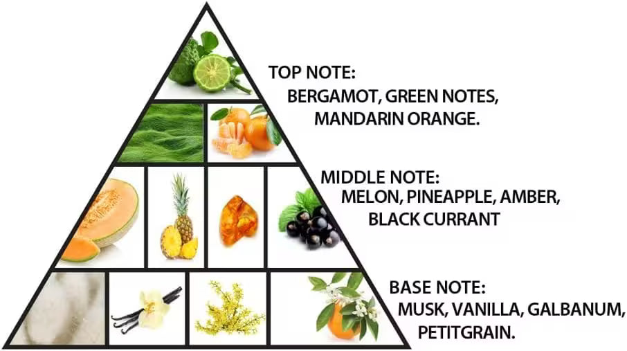 A triangular fragrance notes pyramid diagram on a white background, with labeled sections for top note, middle note, and base note, each accompanied by small food/ingredient photos such as bergamot, green notes, mandarin orange, melon, pineapple, amber, black currant, musk, vanilla, galbanum, and petitgrain.