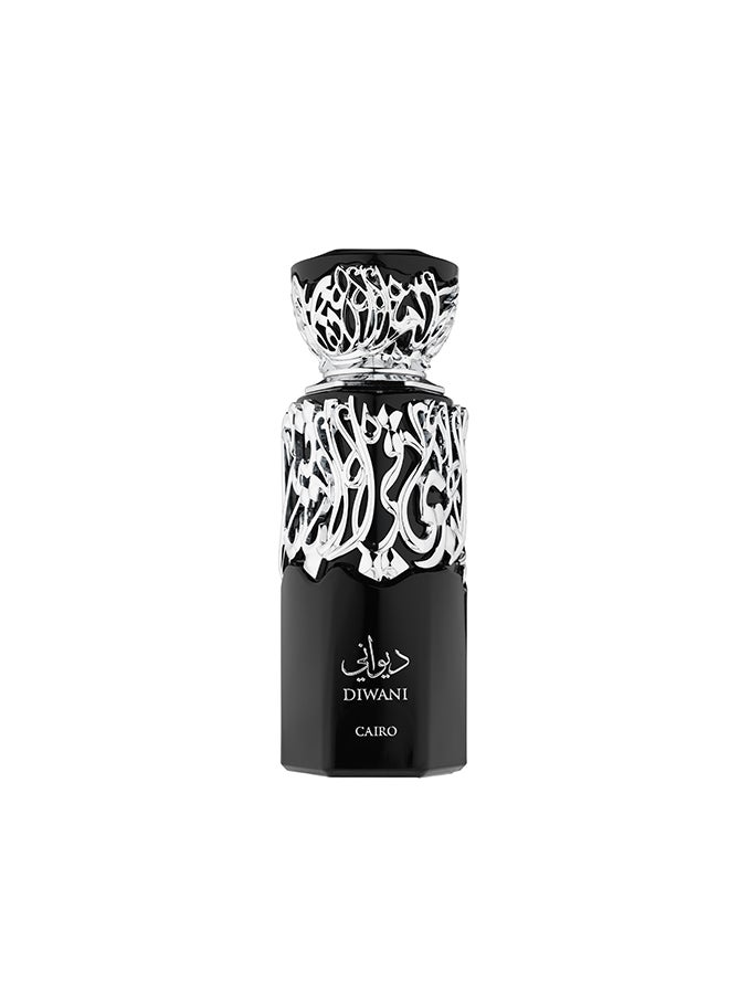 French Avenue Diwani Cairo - Eau de Parfum - Perfume For Men, 100ml - Elmeira Fashion