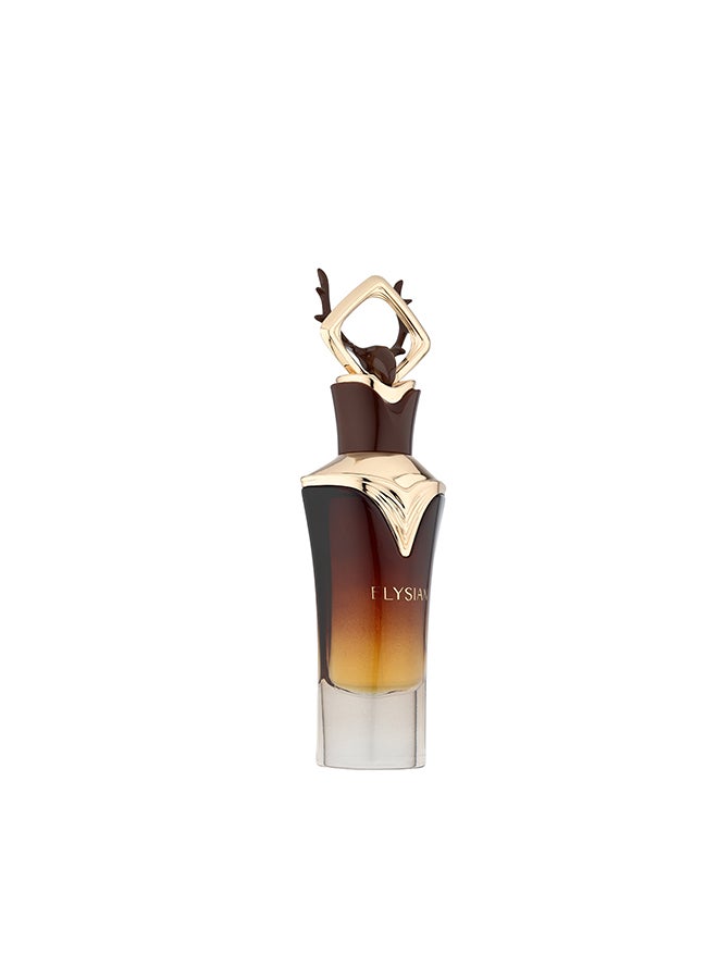 French Avenue Elysian - Eau de Parfum - Perfume For Men, 80ml - Elmeira Fashion