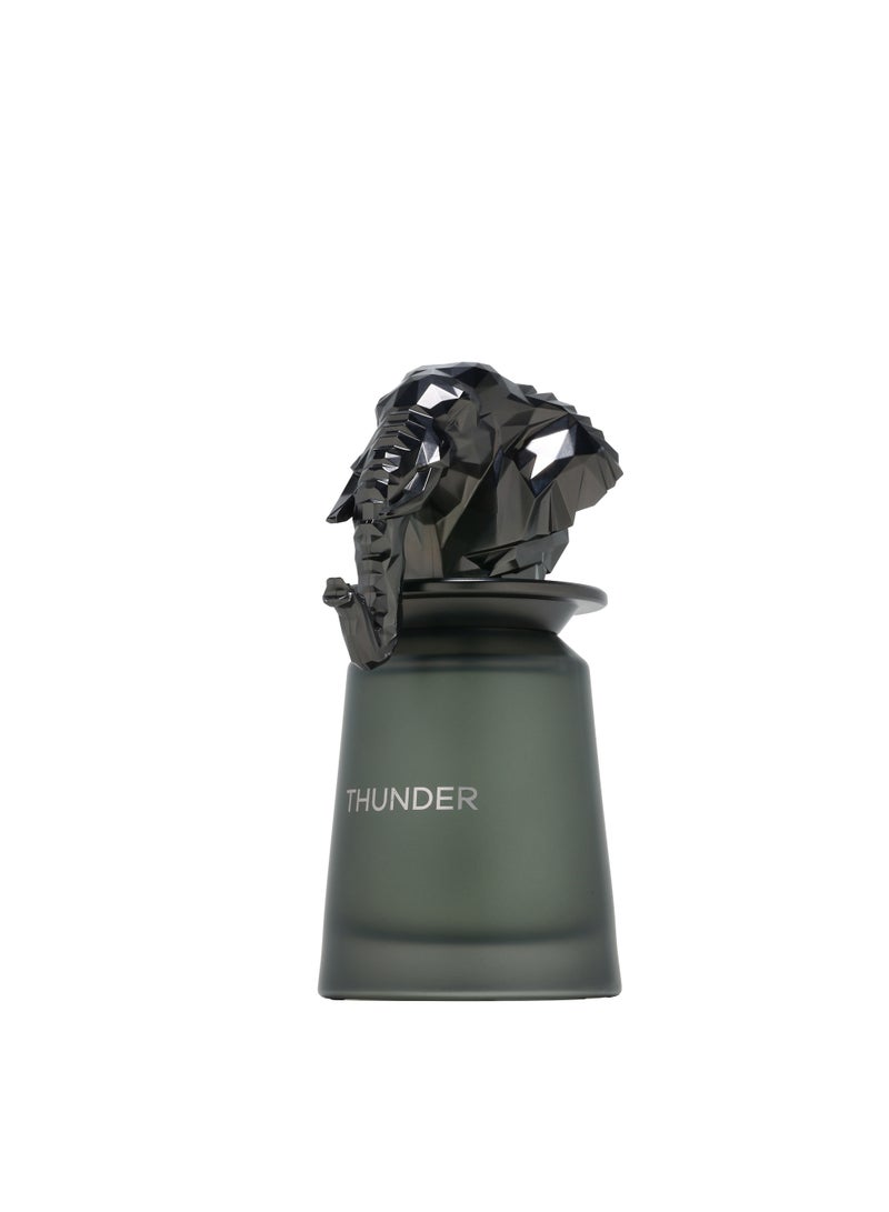 French Avenue Thunder - Eau de Parfum - Perfume For Men, 100ml - Elmeira Fashion