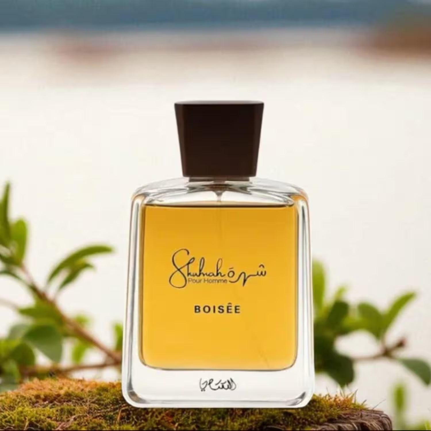 A clear glass perfume bottle with a dark brown cap and a golden-yellow label reading 'Shuhah al-Aqsa BOISÉE', placed on mossy ground with blurred green leaves and a soft outdoor background.